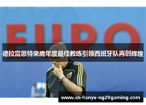 德拉富恩特荣膺年度最佳教练引领西班牙队再创辉煌